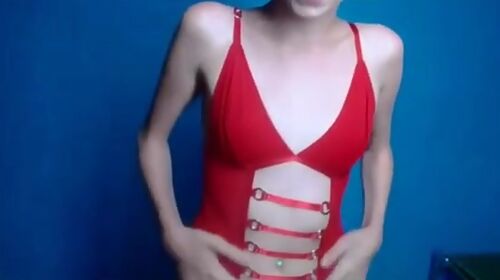 skinny teen 18+ big pussy anal gape